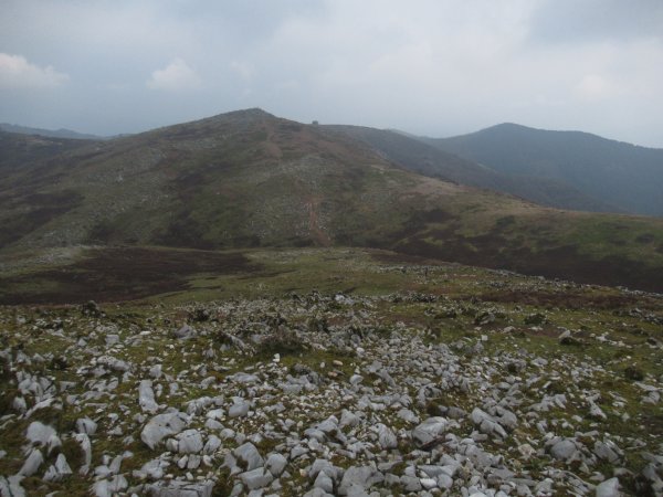 霊仙山三角点最高点分岐